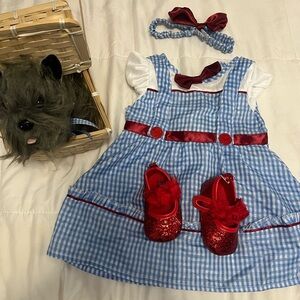 Wizard of oz costume